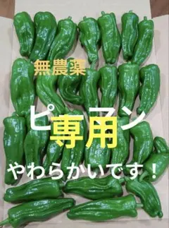 【農薬不使用】あけちゃんあ様専用 野菜セット ピーマン ミニピーマン