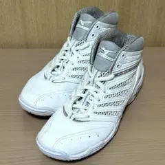 ウエーブダイバース
