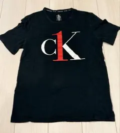 calvin klein Tシャツ 黒 ブラック　メンズ Lサイズ