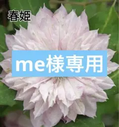 46 ＊me様 リクエスト 2点 まとめ商品