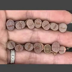 ねこミーム　夕方から夜不在多し様 リクエスト 2点 まとめ商品