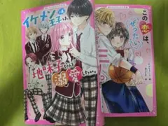野いちごジュニア文庫 2冊セット