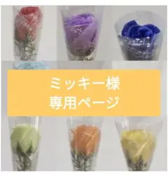 ミッキー様専用