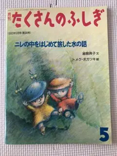 月刊たくさんのふしぎ　1993年5月号　ニレの中をはじめて旅した水の話