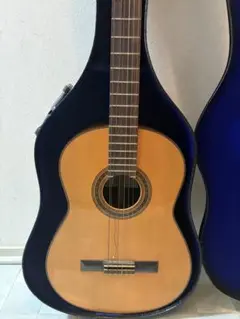 2026年最新】shinano guitar 53の人気アイテム - メルカリ