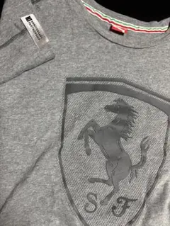 Item thumbnail for item 168c0056-6bf4-4cff-9c21-9ac8df6026aa