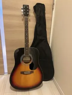 【美品】弦新品/SepiaCrue F-120セピアクルーアコースティックギター アコースティックギターF-120-TSSepiaCrueセピアクルー (swd.com