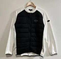 Item thumbnail for item 12433d95-f8b2-42e1-8c61-781e2fae7284