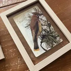 Item thumbnail for item e4f72988-3090-451a-bd38-6a0ece92cdf1