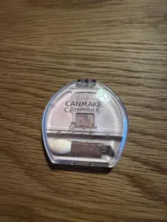 キャンメイク　プランぷくコーデアイズ　neo N02 涙袋