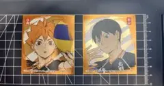 ハイキュー!! 日向翔陽 影山飛雄