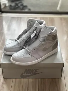 NIKE Air Jordan 1 グレー
