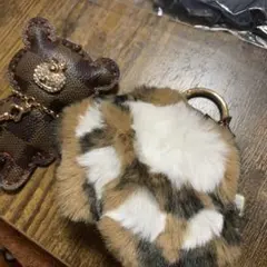 Item thumbnail for item 14d42b44-ba77-43c8-87a9-8cfe159ce124