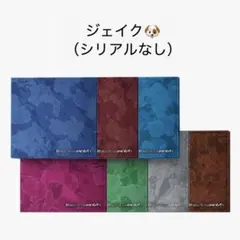 THE SIN : VANISH (FUGITIVES Ver.) ジェイク