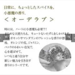 新品　クヴォン・デ・ミニム　コロン