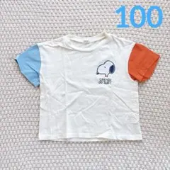 Item thumbnail for item 4dc1b73e-3022-423c-ad19-8a22d505da82