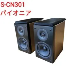 Pioneer S-CN301 スピーカー シリアル同番　ウッド　2wayのサムネイル