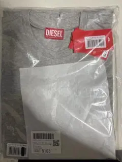DIESEL ディーゼル Tシャツ グレー新品のサムネイル