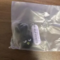 サンリオ バッドばつ丸 もじになっちゃった！？マスコット2 キーホルダー