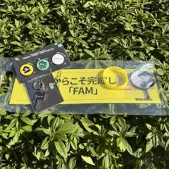 Item thumbnail for item b9e8fc56-358e-44f5-a888-af1696fbc2ce