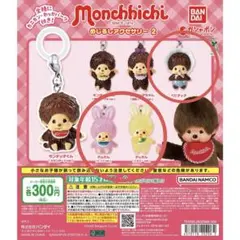 モンチッチ めじるしアクセサリー2 3種セット　ベビチッチ　チムたん