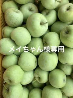 メイちゃん様専用