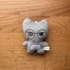 SEVENTEEN WONWOO セブチ ウォヌ ぬいぐるみ マスター 10cm - メルカリ