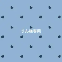 大きめ可愛い ペーパークリップ バインダー貯金 レジン saving