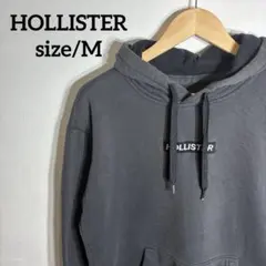 【US古着】HOLLISTER 刺繍ロゴ センターロゴ パーカー スウェット