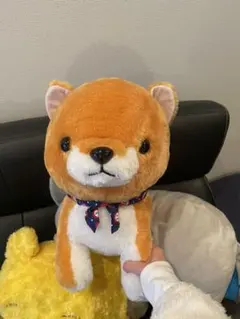 超可愛いい豆柴犬のぬいぐるみ