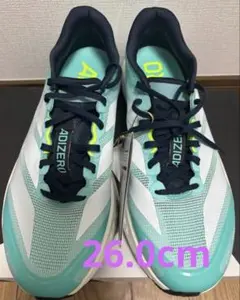 Item thumbnail for item 6376b0f2-349e-4798-a78c-dc0668a9b811