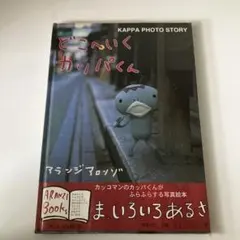 村上隆 ふるさと納税 パンダの親子 - メルカリ