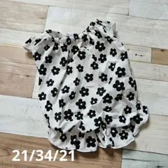 Item thumbnail for item 56e75dd4-31f6-461d-92af-d2434da8039c