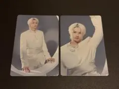 seventeen ディノ ラキドロ レア SEVENTEEN ディノ ラキドロ トレカ face the sun タワレコ