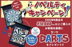 2026年最新】Chums ダーツの人気アイテム - メルカリ