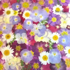 ここ様 リクエスト 6点 まとめ商品