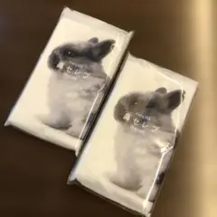 Item thumbnail for item 28095208-a633-4d8d-abb3-03a0c65486b9