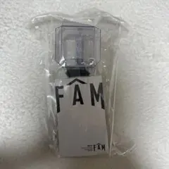 FÂM ペンライト timelesz 多色ボタン付き