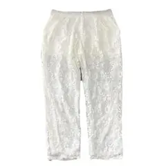 Snidel 総レース カジュアルパンツ ホワイト　スナイデル　綺麗　透けレースのサムネイル