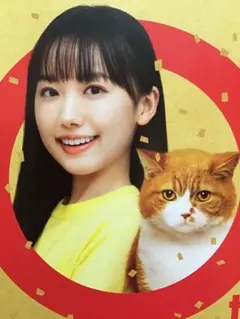 横浜流星　芦田愛菜　ワイモバイル　非売品ポスターB2 横浜流星 芦田愛菜 ワイモバイル 非売品ポスターB2 - メルカリ