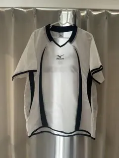 バレーボールピステ