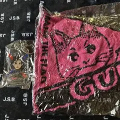 RAISE THE FLAG グッズ 岩田剛典