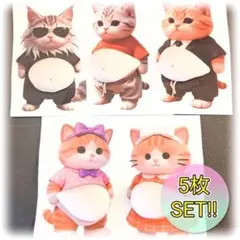 【新品✨】5枚 おなか ぷにぷに シール 柴犬 立体シール お尻 アイドル 猫