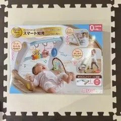 スマート知育ジム&ウォーカ