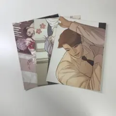 2枚セット 購入特典 台北ポップアップ 真珠を産む少年 韓国BL Qoo10] P EXO 2026 【現場購入・公式】 SMエンターテインメント その他