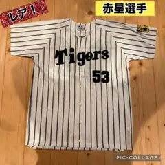 阪神タイガース！Mizuno AKAHOSHI ユニフォーム 53 - メルカリ