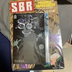 Item thumbnail for item c0d4019e-174a-4e19-86f0-a6b44b2bf4bc