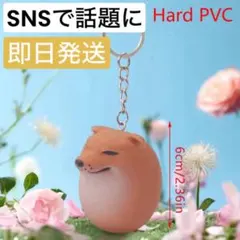 柴犬スクイーズ しばこ　キーホルダー　しばいぬ　 卵型 ハード　1個セット