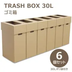 6, 30 리터 쓰레기통 분류 세트 (골판지로 만든 폴리백 포함)