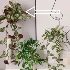 フェイクグリーン　吊り植物　ガーデニング　ウエディング　花　造花のサムネイル